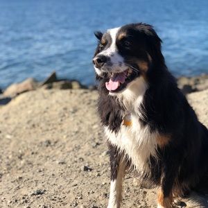 Meet your Posher, Randi